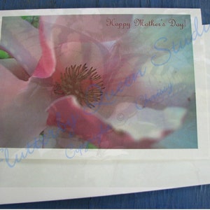Moederdagkaart - Japanse magnolia - foto - voor nieuwe moeders - alleen gratis verzending in de VS