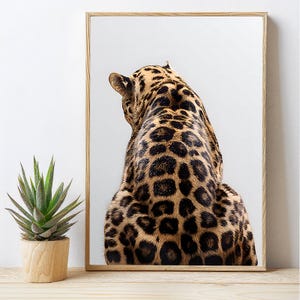 Estampado de guepardo, estampado artístico de leopardo, decoración elegante para el hogar, póster de moda, arte minimalista de guepardo, ilustraciones de revistas, póster moderno