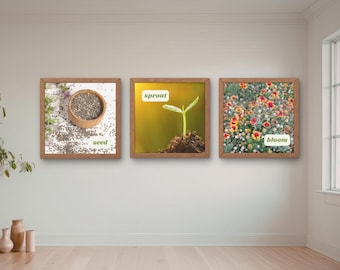 Floral Wall Art for Gardeners: Seed, Sprout, Bloom (Digital Download)