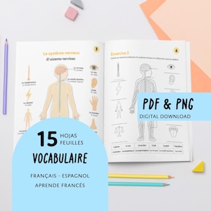 Vocabulaire du corps humain | Sistema y órganos del cuerpo | Activités à colorier | Français-Espagnol | PDF PNG imprimible | Aprende frances