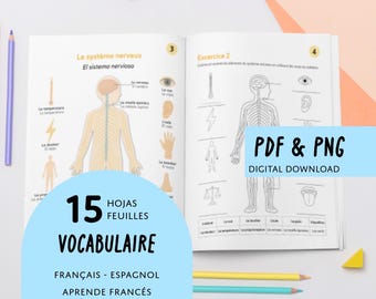 French Spanish Body Vocabulary: Coloring Activities (PDF/PNG)