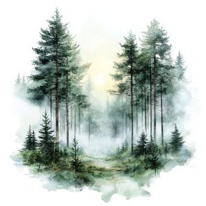 Puede incluir: Pintura a la acuarela de una escena de bosque brumoso. Altos y esbeltos &aacute;rboles de hoja perenne dominan la composici&oacute;n, con un sendero que serpentea a trav&eacute;s de la maleza. El sol se asoma a trav&eacute;s de la niebla, creando un brillo suave y et&eacute;reo. La paleta de colores es principalmente verde y azul.