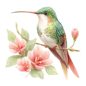 20枚のヴィンテージハチドリのクリップアート、花のハチドリのクリップアート、花のクリップアート、印刷可能な水彩画、高品質のJPG、ペーパークラフト、ジャンクジャーナル