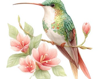 20 vintage kolibri clipart, blommande kolibri clipart, blommig clipart, utskrivbar akvarell, högkvalitativa JPG-bilder, papperspyssel, skräpjournal