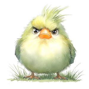 May include: A green and yellow cartoon bird with a grumpy expression. The bird has a ruffled yellow head and is standing on green grass.
