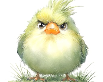 16 不機嫌な鳥のクリップアート、素晴らしい鳥、かわいいふわふわの鳥