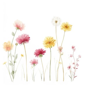 18 Pastel Dandelion Clipart, Botanical Dandelions, Printable Watercolor, High-Quality JPGs, PaperCraft, Junk Journal, Digital Download