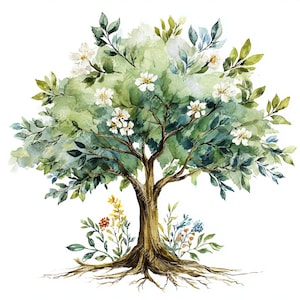 20 Tree of Life with Roots Clipart, Oak Family Tree, Printable Watercolor, High-Quality JPGs, Papercraft, Junk Journal