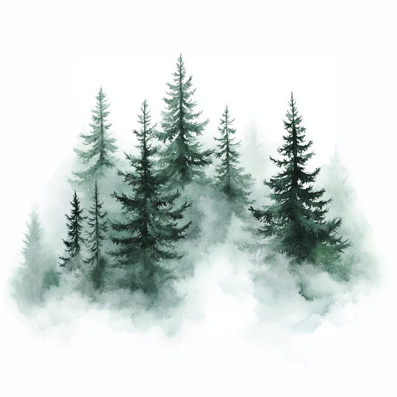 Puede incluir: Pintura a la acuarela de una escena de bosque con &aacute;rboles de hoja perenne que emergen de una niebla brumosa. Los &aacute;rboles, de varios tama&ntilde;os y tonos de verde, crean un paisaje natural y sereno sobre un fondo blanco.