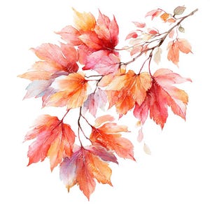 20 Clipart de feuilles d'automne qui tombent, feuilles d'automne, aquarelle imprimable, fichiers JPG de haute qualité, papercraft, journal indésirable, téléchargement numérique