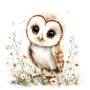 20 Cute Barn Owl Clipart, Woodland Owl, Floral Owl, Nursery Decor, Printable Watercolor, High-Quality JPGs, Papercraft, Junk Journal