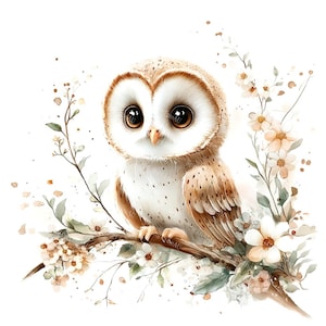 20 Cute Barn Owl Clipart, Woodland Owl, Floral Owl, Nursery Decor, Printable Watercolor, High-Quality JPGs, Papercraft, Junk Journal
