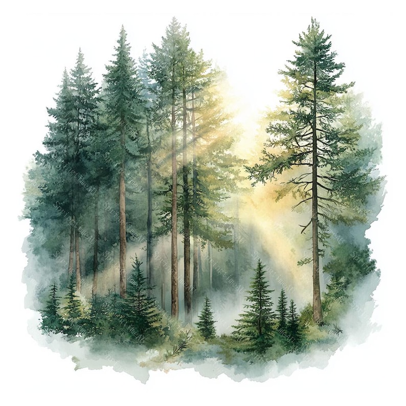 Puede incluir: Pintura a la acuarela de una escena de bosque con altos &aacute;rboles de hoja perenne. La luz del sol atraviesa los &aacute;rboles, creando un efecto brillante y et&eacute;reo. La obra presenta una atm&oacute;sfera suave y brumosa con tonos verdes y marrones.