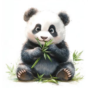 18 schattige panda clipart, pluizige panda, schattige babydier, afdrukbare aquarel, hoogwaardige jpg's, papercraft, ongewenste dagboek, digitale download