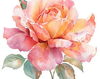 24 rosa rosor Clipart, rosbukett, botanisk romantisk blomma, utskrivbar akvarell, högkvalitativa JPG-bilder, papperspyssel, skräpjournal