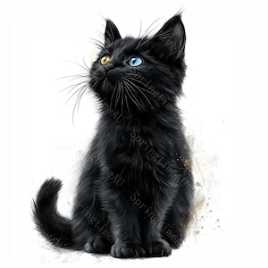 16 Black Cat clipart, mystieke zwarte kat, Dark Cat, Witchy Cat, afdrukbare aquarel, hoogwaardige JPG's, Paper Craft, Junk Journal
