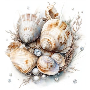 18 Gorgeous Sea Shells Clipart, Seashell Clipart, ocean sea clipart, Printable Watercolor, High-Quality JPGs, Paper Craft, Junk Journal