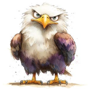 20 schrulligen Adler Clipart, Weißkopfseeadler Clipart, druckbare Aquarellfarben, hochwertige JPGs, Papiermodelle, Junk Journal, Digital Craft
