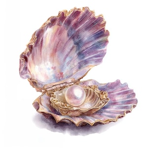 20 Seashells Pearls Clipart, Sea shell Clipart, Clam Shell With Pearl, Printable Watercolor, High-Quality JPGs,Paper Craft, Junk Journal