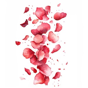 May include: A watercolour illustration of red and pink rose petals scattered on a white background. The petals vary in size and shade, creating a sense of movement and delicacy. The artwork evokes a romantic and floral theme.