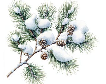 20 Pine Twigs Clipart, Winter Botanicals, Christmas Branches, Greenery, Printable Watercolor, High-Quality JPGs, Paper Craft, Junk Journal