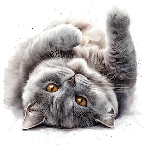 14 cliparts chat British Shorthair, chats gris duveteux, chat mignon, clipart animal de compagnie, aquarelle imprimable, fichiers JPG de haute qualité, créations en papier, journal indésirable