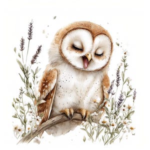 20 Cute Barn Owl Clipart, Woodland Owl, Floral Owl, Nursery Decor, Printable Watercolor, High-Quality JPGs, Papercraft, Junk Journal