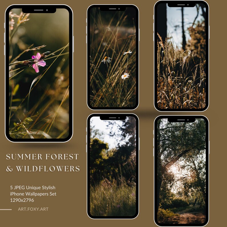 Forest iPhone Wallpapers | Summer Nature Aesthetic Backgrounds