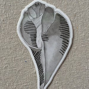 May include: A grayscale sticker depicting a detailed illustration of a seashell. The design uses shading and linear patterns to show the shell's texture and form. The sticker has a white border and is set against a neutral background.