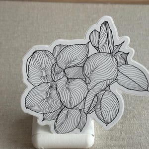 Könnte beinhalten: Schwarz-weiß-Zeichnung eines Büschels tropischer Blätter. Die Blätter sind kreisförmig angeordnet und haben ein zartes, filigranes Design.
