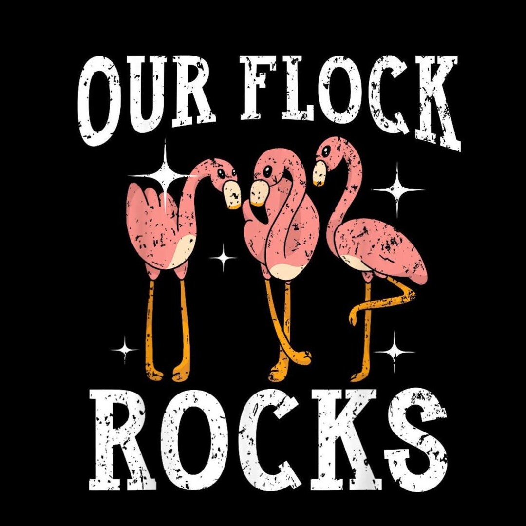 Our Flock Rocks Flamingo PNG, Funny Bird Summer Sublimation, Tropical ...