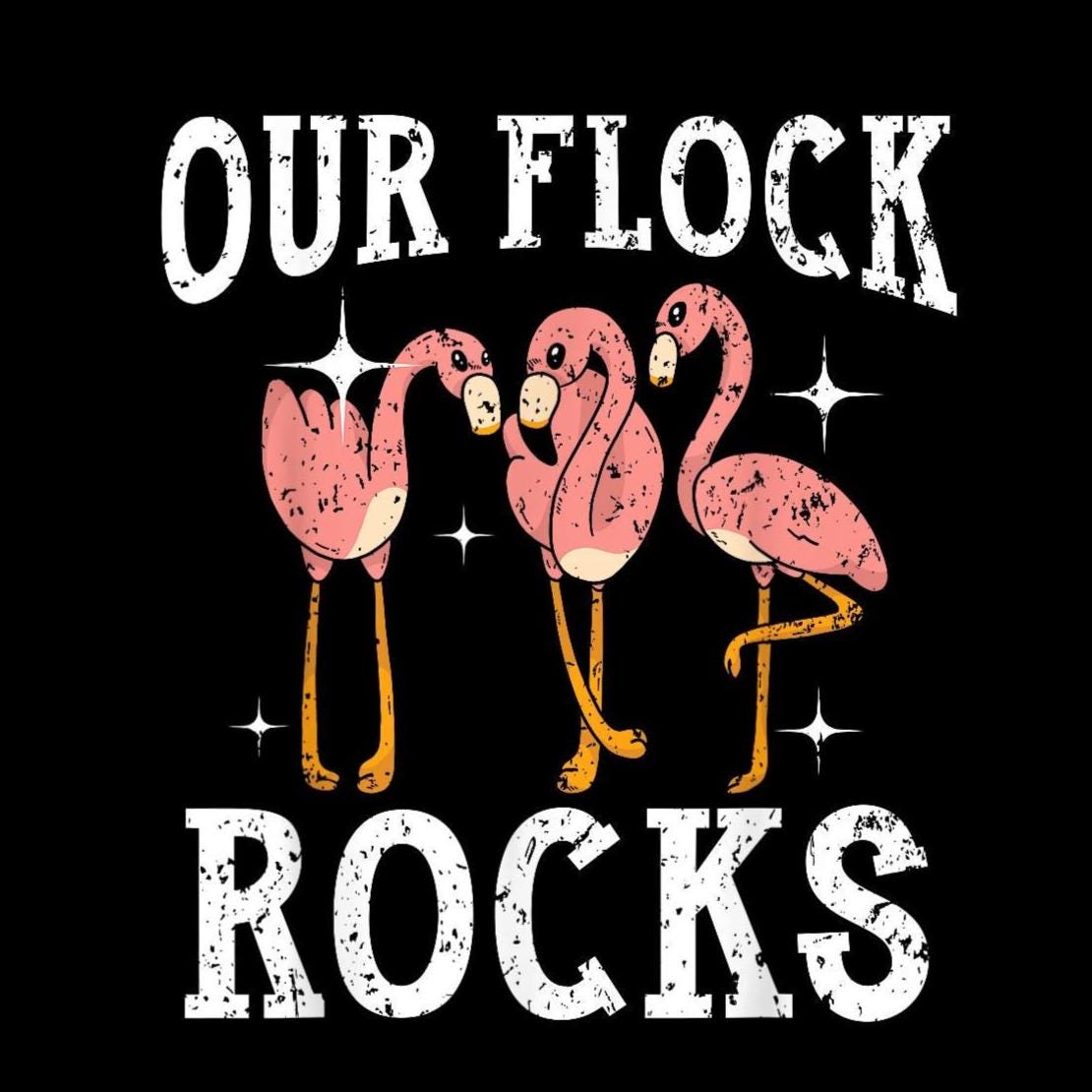 Our Flck Rocks Our Flock Rocks Flamingo PNG, Funny Bird Summer Sublimation, Tropical ...