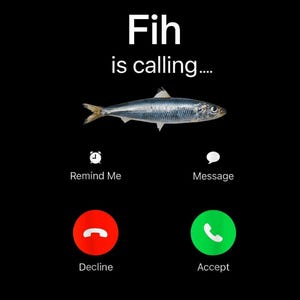 May include: A humorous image on a black background, featuring a sardine with the text "Fih is calling..." in white. Below are icons for "Remind Me" and "Message", with red "Decline" and green "Accept" call buttons.