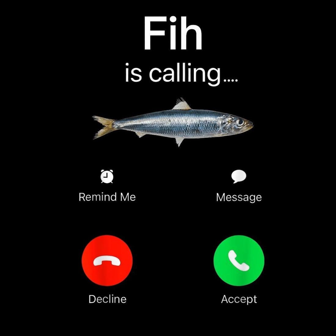 Fih Calling Funny Fish PNG、Remind Me Decfly Accept、電話画面の魚T 