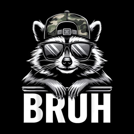 Bruh Raccoon Trash Panda PNG, Funny Raccoon Meme Digital Download, Cute Garbage Bandit Shirt Design for Raccoon Lovers