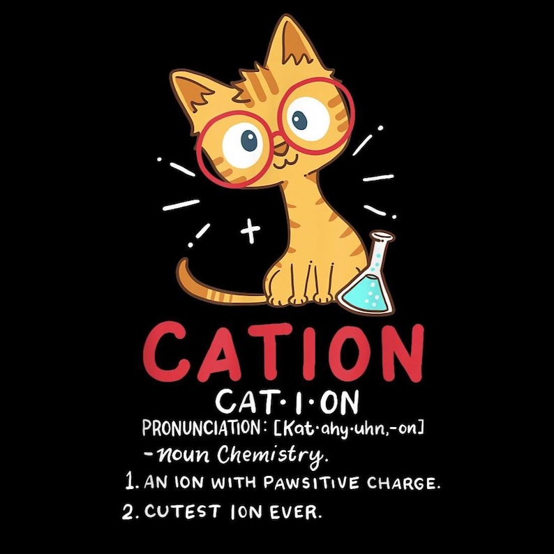 May include: A black graphic tee featuring a cartoon orange tabby cat wearing red glasses, holding a beaker. The word "CATION" is in red, with the definition below: "CAT-I-ON, noun Chemistry, 1. An ion with pawsitive charge, 2. Cutest ion ever."