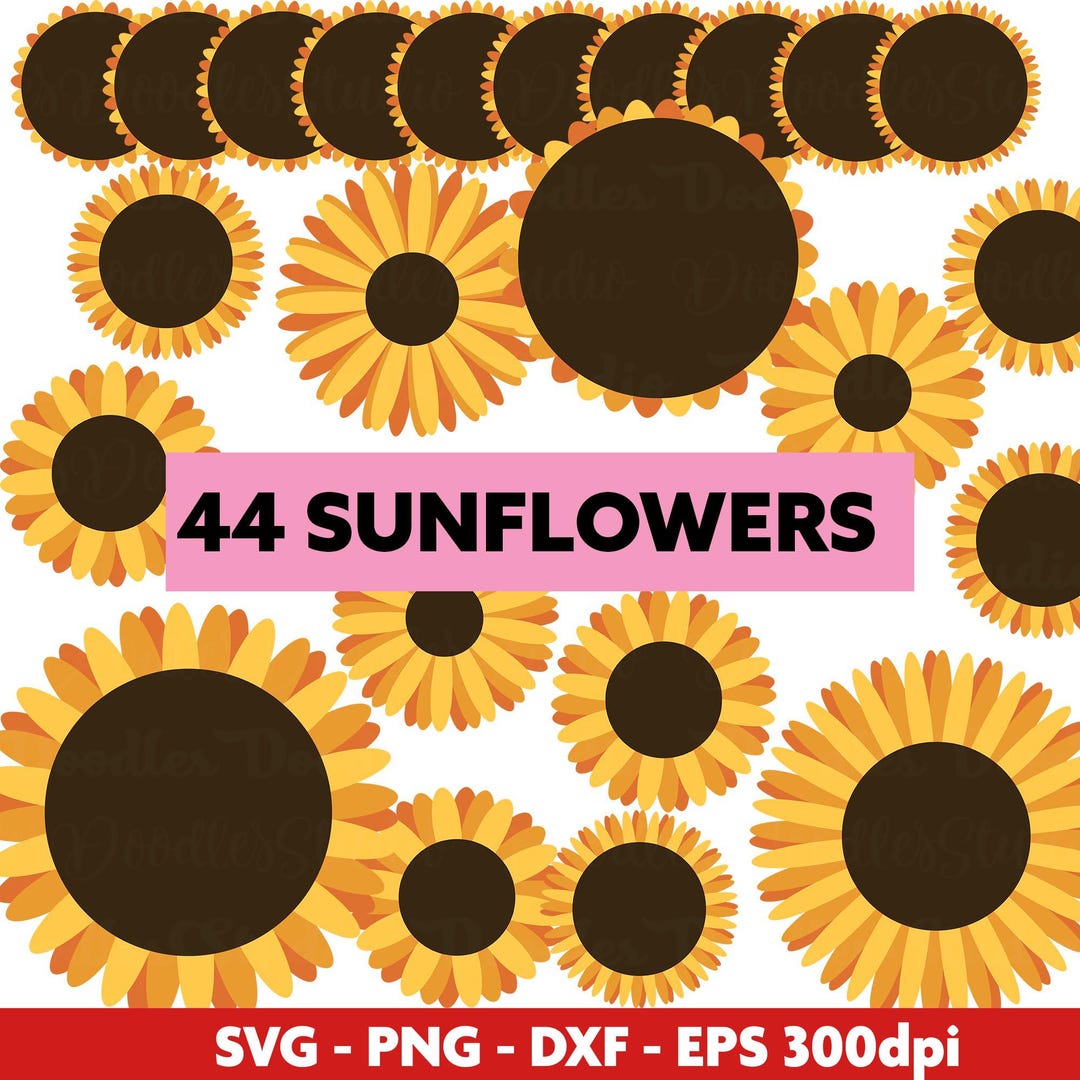 Sunflower Svg Bundle, Sunflower PNG, Cut Files for Cricut - Etsy