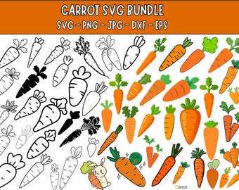 Carrot SVG Bundle: Clipart, PNG, Cut Files (Digital Download)