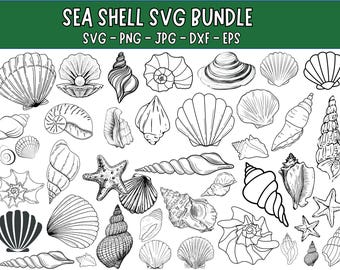 Seashell SVG Bundle: Clipart, Cut Files for Cricut (Digital Download)