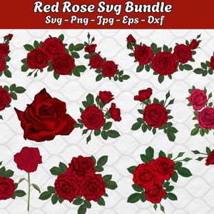 Red rose clipart | Red rose Svg | Rose svg bundle | Red rose Png | Bouquet Svg | Flowers svg bundle | Roses template svg | Rose Svg designs