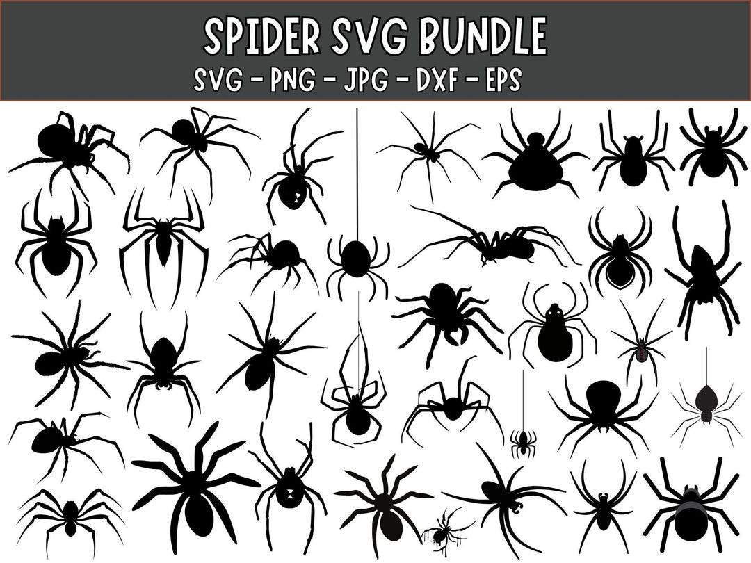 Black Spider SVG Bundle: Clipart, Cut Files (digital Download) - Etsy