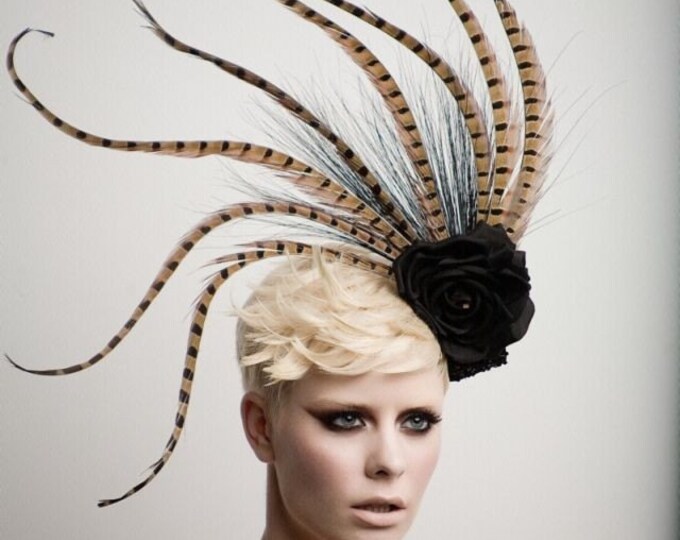 pheasant feather headpiece