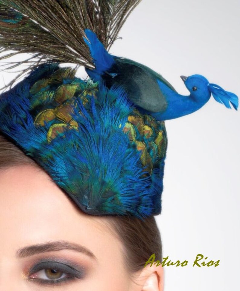 Peacock Bird feather Fascinator Cocktail hat Kentucky Derby Etsy