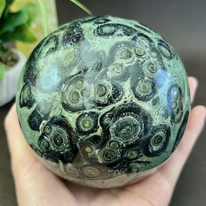 Peut inclure: Une pierre précieuse sphérique polie, ornée d'un motif moucheté de vert foncé et de noir. L'orbite est tenue dans une main, mettant en valeur sa forme lisse et arrondie et ses variations de couleurs naturelles. La surface de la pierre présente des motifs circulaires uniques.