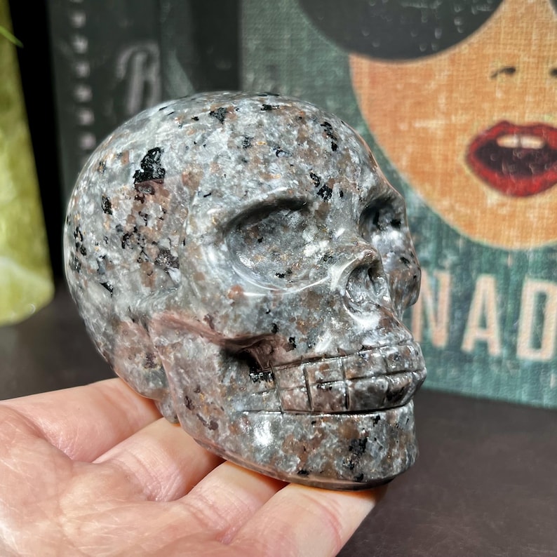 May include: A detailed, carved skull figurine with a speckled gray and brown pattern. The skull is held in a hand, showcasing the intricate details of the sculpture. The background includes a vintage-style poster.
