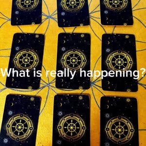 May include: Nine tarot cards with a black background and a gold wheel design are arranged on a yellow surface. The cards have a celestial theme with stars and crescent moons. The text "What is really happening?" is visible.