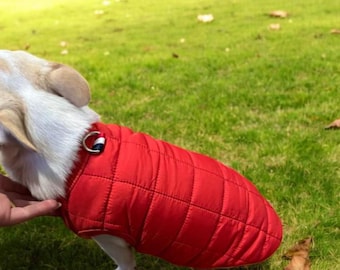 Cozy Winter Dog Coat – Windproof & Padded Pet Jacket for Small Dogs. Stylish, Warm and Comfortable Chihuahua Clothes. Ideal for Cold Weather