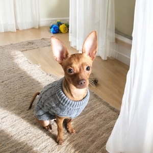 心地よいニットのノースリーブペットセーター - 小型犬とスフィンクス猫用の暖かい冬服。チワワとヨーキーにぴったりの柔らかくてスタイリッシュなフィット感