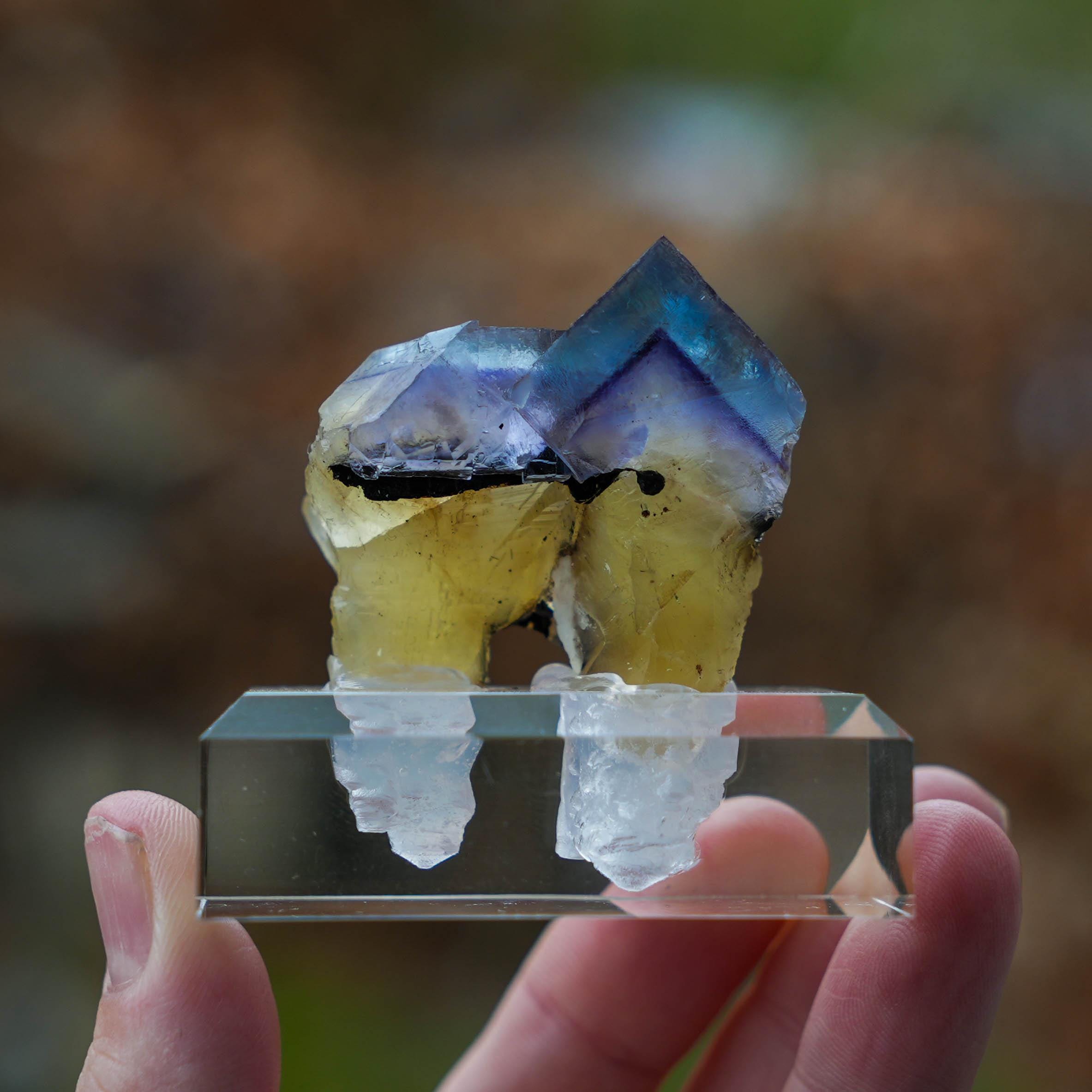 置物 Minerva Mine#1 Minerva No 1 Mine - Etsy
