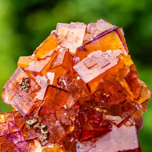 May include: A cluster of translucent, cubic fluorite crystals in vibrant shades of orange and deep red. The mineral specimen features sharp, geometric edges and smooth, glassy surfaces with small, metallic gold-coloured inclusions embedded within.